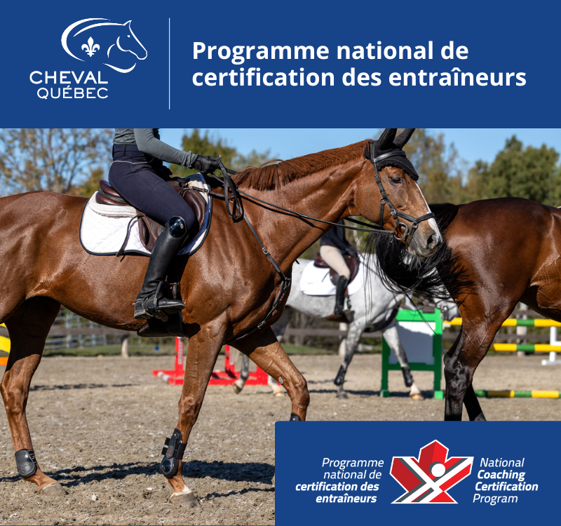 Entraîneur de compétition PNCE/CE Équitation classique